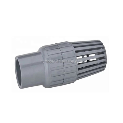 ASTM/DIN/ASNZ/JIS Standard 4 Inch Plastic Foot Valves for Pump Moulding Service
