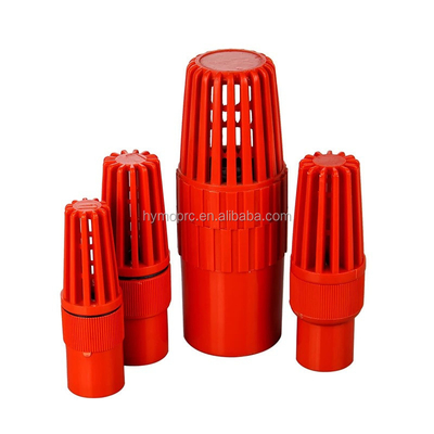 ASTM/DIN/ASNZ/JIS Standard 4 Inch Plastic Foot Valves for Pump Moulding Service