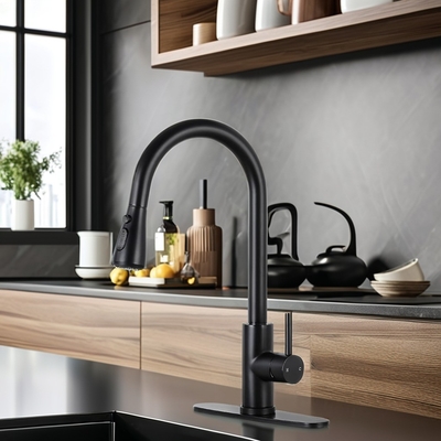 Matte Black Kitchen Faucet with Pull-Down Sprayer and Contemporary Style Brass Design