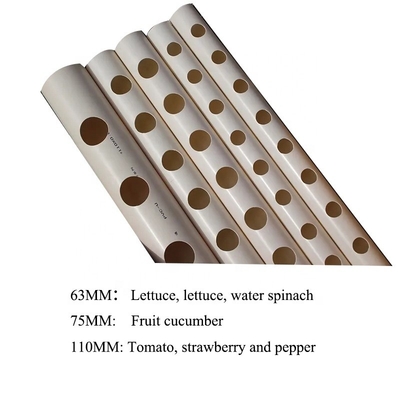 63mm 75mm White Color Round PVC Pipe Hydroponic System with B2B Buyer's Needs in Mind