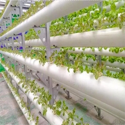 63mm 75mm White Color Round PVC Pipe Hydroponic System with B2B Buyer's Needs in Mind