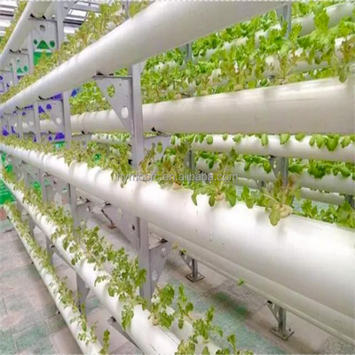 1/2&quot;-12&quot; Diameter White Color 90mm 110mm PVC Pipe for Hydroponics Lettuce Plant
