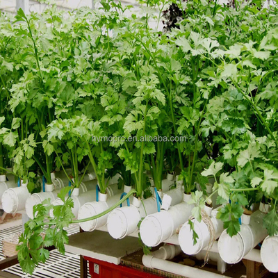 1/2&quot;-12&quot; Diameter White Color 90mm 110mm PVC Pipe for Hydroponics Lettuce Plant